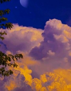 简约干净高清图片 一看很舒心特别的舒服的