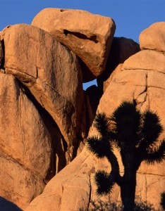 最美风景意境图片 治愈系一看就舒心最美风景