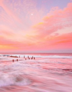 聚财招财旺财风景图片，红红火火粉色主题景色