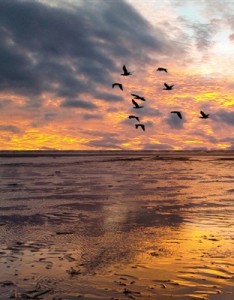 2023最新最美的日出风景意境高清图片大全