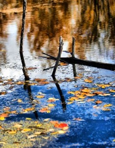 绝美的风景意境图片 有山有水仙境一般的美丽迷人