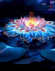 高清创意意境图片 炫酷创意花卉设计图片