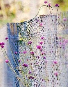 2023最新好看唯美花草风景意境图片大全