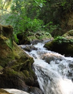 山涧溪流瀑布唯美微信风景意境图片