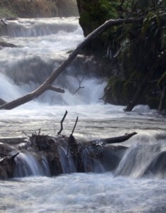 2023林间溪流瀑布唯美高清意境图片