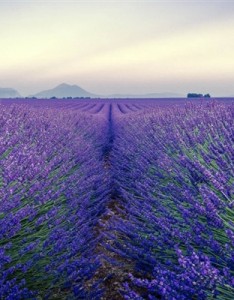 4k高清唯美意境QQ风景意境图片大图