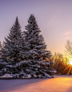 2023山水风景意境图片超清图片 送给爱旅行的你