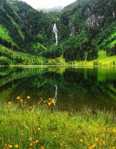 绿色风景意境图片 哈尔施塔特风景图片