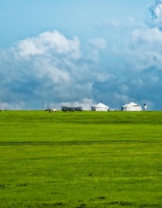 绿色风景意境图片 绿色一望无际的草甸风景图片