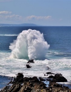 微信海边风景意境 经历风浪的海边礁石图片