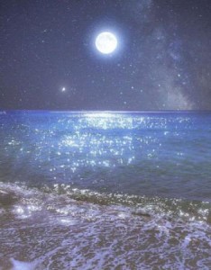 唯美意境图片，非常的有品味有档次的