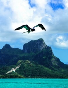 唯美风景 法国风景图片大全唯美图片