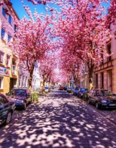 唯美意境图片大全个性唯美 风景大自然