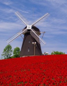 高清唯美高大的荷兰风车高清图片大全