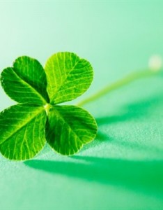 幸运草头像，2023非常好看的幸运草图片