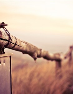 唯美意境图片，超清绝美自然风景美醉了