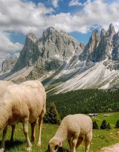 好看的唯美意境图片 唯美风景高清头像图片