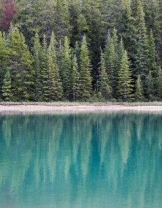 漂亮风景唯美图片树木在水中的倒影风景图片