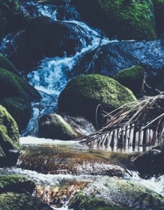 大自然风景意境图片 森林小溪山间流水图片