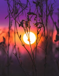 夕阳的唯美意境图片 傍晚的夕阳朦胧风景高清图片