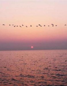 吉祥微信风景意境图片大全，绝美的风景影响你的心情