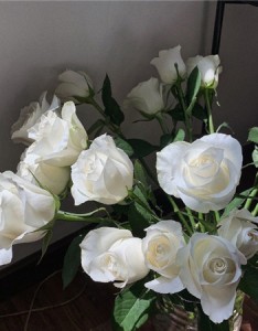 颜值超高的靓丽心动的背景素材 生活是用自己喜欢的方式取悦自己