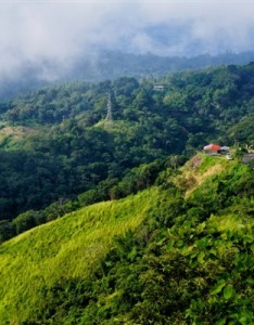 给人一种阳光的唯美意境图片，漂亮唯美的风景带来好心情吧