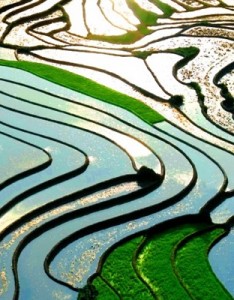 个性风景意境图片好看唯美的梯田风景图片