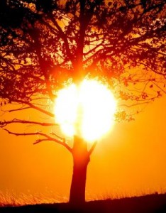 好看风景意境图片，唯美夕阳风景高清图片