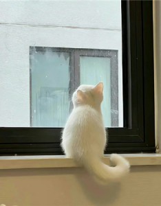 2023搞怪可爱版的背景图 我一点会变成一只成熟的鸡蛋