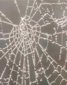 气质超棒的冷淡高级的背景图最新 可爱的事分享给可爱的人