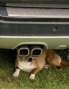 超搞怪又超搞笑的朋友圈配图 有事晚上说幼儿园还没放学