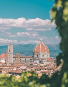 风景静物头像，唯美好看高清风景静物头像干净清新