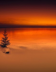 冬天风景唯美意境，大自然微信冬天冰雪风景图片