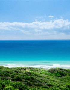 最美风景唯美意境图片，让人心旷神怡的绿色美景