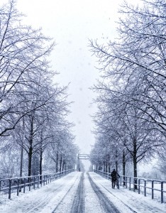 冬天故事唯美意境插图