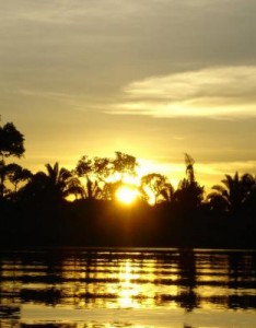 唯美风景意境图片，亚马逊河流风景高清图片