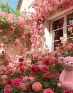 幸运女孩用的背景图很高清 也许我们都不够完美但同样热爱世界