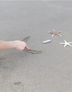 2023很优雅的绝色背景图高清合集 看了每张都想存图哦