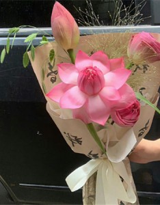 荷花图片大全高清唯美无水印 正是荷花开满池便是人间好时节