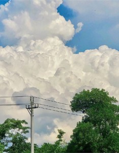 清爽好看的云朵素材唯美又真实 夏天是天空丰收的季节