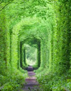 别致的风景意境图片，神秘悠长的隧道唯美图片