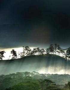 仙境一般美的风景意境图片，云雾缭绕山水景色图片