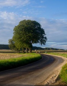 比较励志的风景意境图片，成功的路就在前方