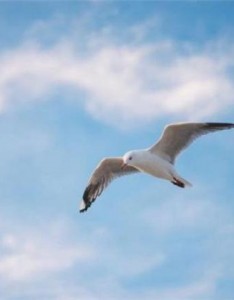 会带来好运的风景图片，祝你天天好运来