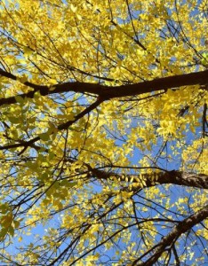 分享一组超超超美风景意境图片，极品度娘都找不到