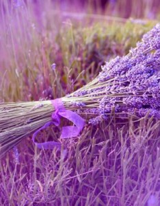 薰衣草最美意境图片，漂亮唯美紫色的薰衣草图片