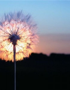 40岁男人微信风景意境图片，特别适合成熟男人风景图片