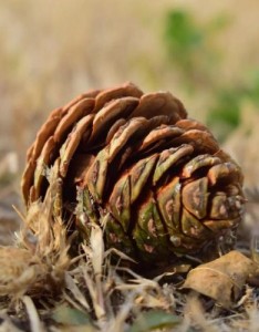 分享一组超超超美风景意境图片，极品度娘都找不到