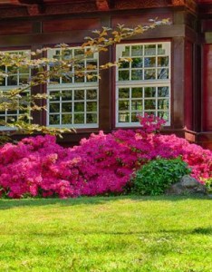 适合长辈用的意境图片，漂亮梦幻的花园美图让长辈有个心情